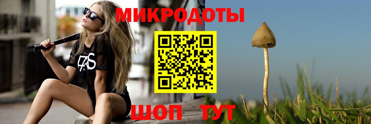 Спасск-Дальний  Псилоцибиновые грибы ЛСД  Вход с VPN  Галлюциногенные грибы MAGIC MUSHROOMS 
